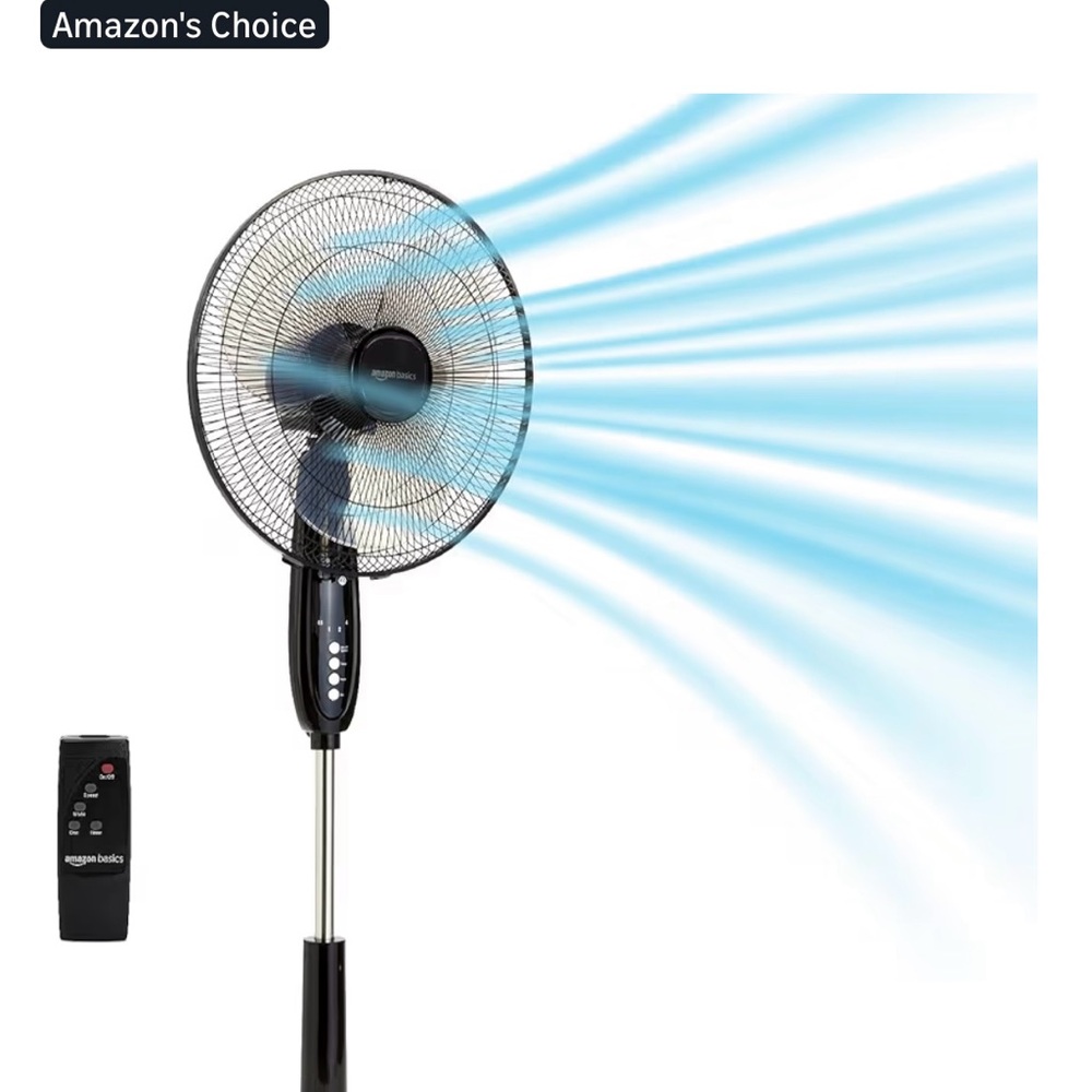Black Oscillating Stand Fan with Remote - only 4 months old!!